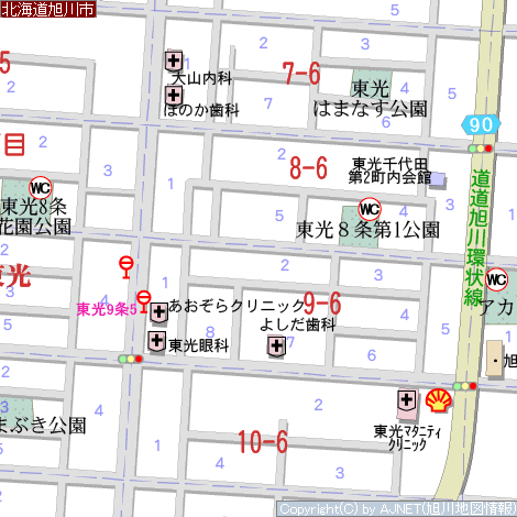 詳細図 東光8条6丁目付近 4140